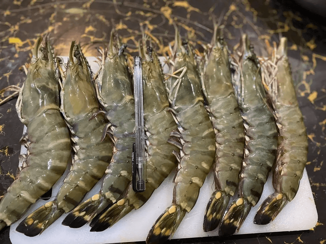 a picture of windu shrimps